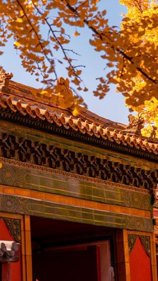 5D4N • UrCove by Hyatt·Hyatt-branded Hotel ,Autumn Sightseeing in Beijing ,Tiananmen Square ,The Palace Museum ,Mutianyu Great Wall &Summer Palace