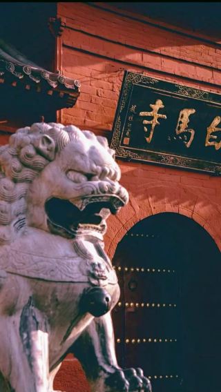 5D4N • Henan + Xi'an - Shaolin Temple, Longmen Grottoes, White Horse Temple, Emperor Qinshihuang's Mausoleum Site Museum, Xi'an City Wall