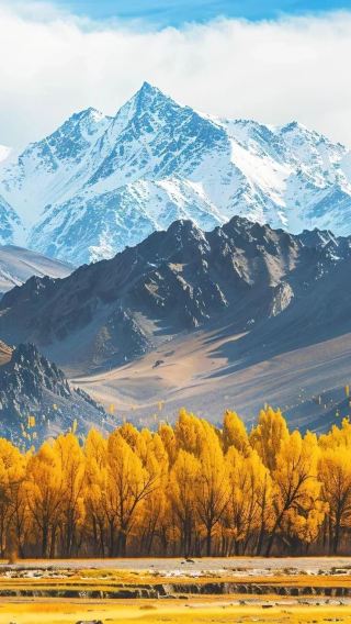 8D7N • Xinjiang + Northern Xinjiang + Kanas: 6-person small group, 1 + 1first-class seats & accommodation at three scenic areas