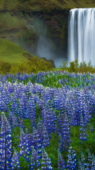 8D7N • Customize your trip: Iceland: Volcano Inside Exploration + Blue Lagoon + ATV across Plane Wreckage + Jokulsarlon Boat Tour + Blue Ice Cave Safari