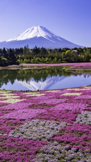 3天2晚 • 日本河口湖＋箱根＋鎌倉市