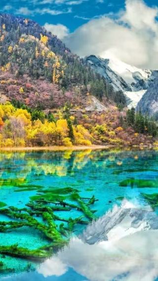 7D6N • Gannan + 7-Day Wild Luxury Vacation in Jiuzhaigou + Stay at a guesthouse within the Zhaga Na scenic area + A Full Day of Fun in Jiuzhaigou + Light Hiking in Zha Ga Na