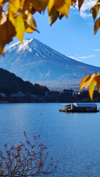 7D6N • Osaka+ Kyoto + Mount Fuji + Hakone + Kamakura +Tokyo