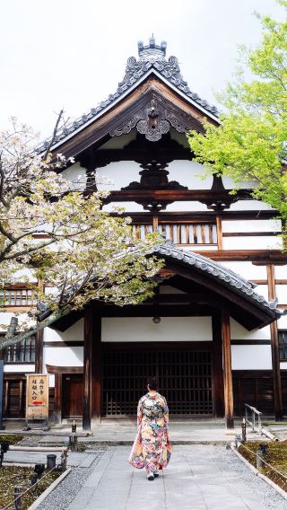 6D5N • Osaka Prefecture + Kyoto Prefecture + Nara City + Kobe + Universal Studios Japan
