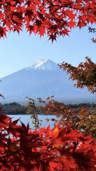 7日6晚 • 日本大阪＋京都＋奈良市＋東京＋富士山7日6晚跟團遊