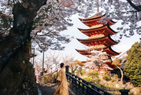 5-day 4-night · Group Tours · Japan + Osaka + Kyoto + Nara · Small-group tour with complimentary airport/hotel shuttles and 4-diamond accommodations. Highlights: Gion's Geisha culture, Fushimi Inari torii gates, San'in area sights, Guichuan Shrine, Arashiyama train, Conan-themed Moon Bridge, plus 1 free day.