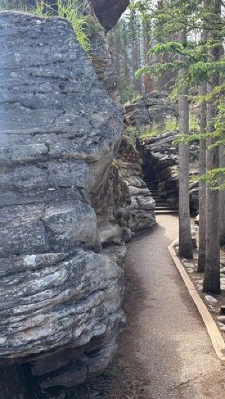 7D6N • 7-Day Rockies Tour : Banff, Jasper, Yoho, Drumheller & Waterton