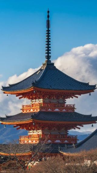 6天5晚 • 日本｜東京北海道雙城精選之旅｜東京古都風情 - 小樽運河夜景 - 登別溫泉 - 青池秘境 - 北海道花田