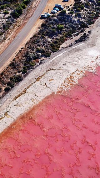 2D1N • Perth + Hutt Lagoon