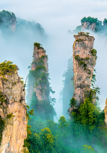 2D1N • Intensive Exploration of Zhangjiajie National Forest Park