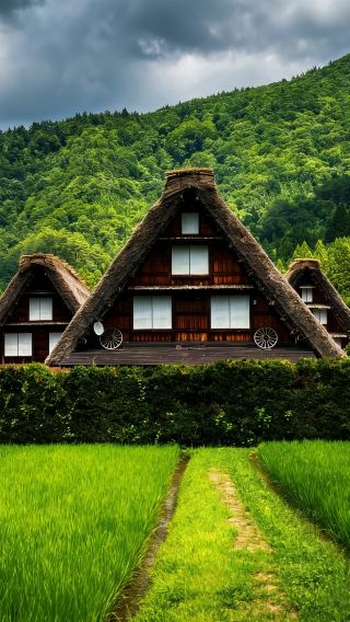 6D5N • Japan Essence: Central Japan Tateyama Kurobe 'Seasonal Limited Access' + Kanazawa + Takayama + Nagoya