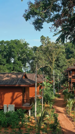 3D2N • Luxury Getaway at Tioman Island Resort