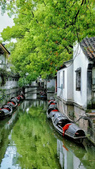 3D2N • Hangzhou + Shaoxing