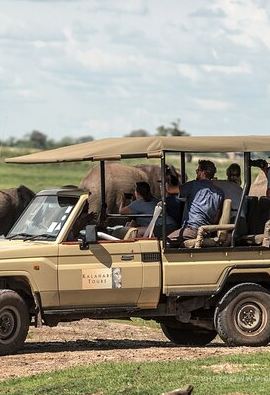 2D1N • 2 Day 1 Night Chobe Safari ex Livingstone/Victoria Falls