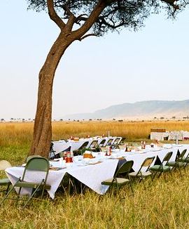 6D5N • 6 Days in the Wild – A Budget Safari Across Tanzania’s Icons