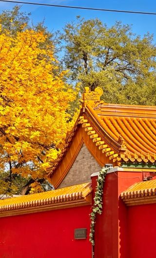 2D1N • Comprehensive Beijing classic sights tour, fully customizable itinerary with optional English-speaking guide