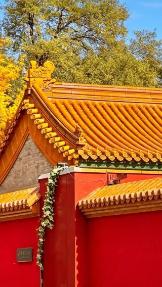 1泊2日 • 旅程は自由にカスタマイズ可能。英語ガイドはオプション。北京の定番観光スポットをお見逃しなく