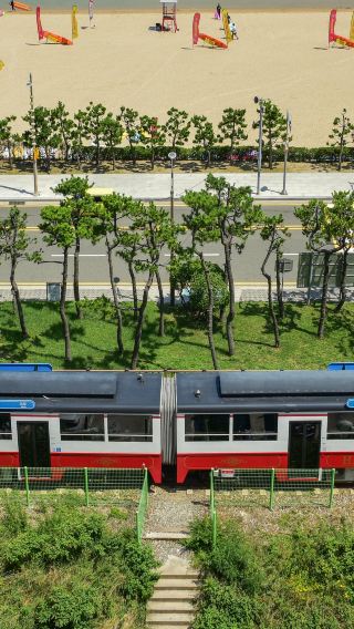 5D4N • 5-Day Daegu + Busan Tour · Apsan Observatory, Sky Bridge, Haeundae Blueline Park Beach Train, Cheongsapo Skywalk, Haeundae X the SKY Observatory