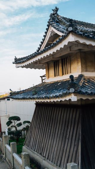 16D15N • Wonders of Japan