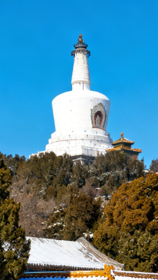 8D7N • Beijing Rhythm & Water Town: Forbidden City Splendor + Hutong Pulse + Jiangnan Charm