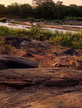 4D3N • 4 Day Budget Kruger National Park Safari