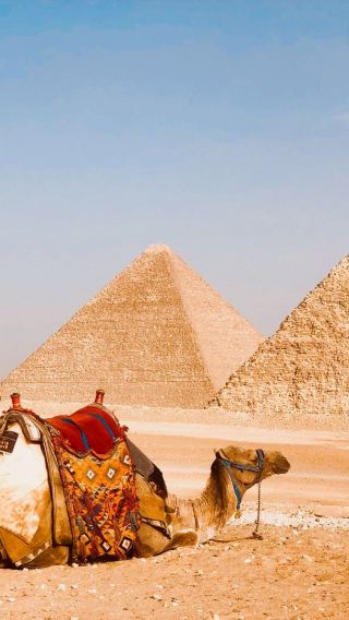 10D9N • Customize your trip: Cairo + Luxor + Alexandria + Aswan + Abu Simbel in Egypt, Red Sea resort stay, night tour of Luxor Temple, and felucca cruise on the Nile River