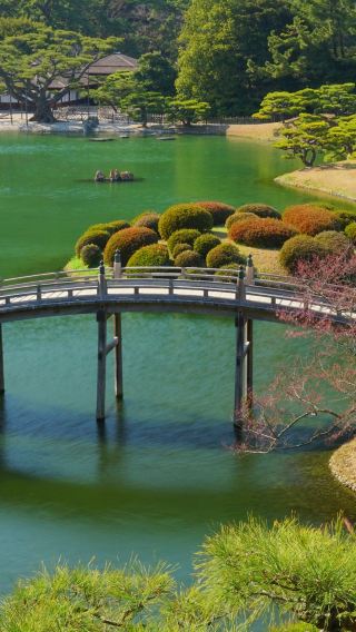 12D11N • Japan Fantasies