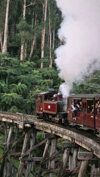 5D4N • Melbourne + Puffing Billy Railway + Phillip Island + Great Ocean Road
