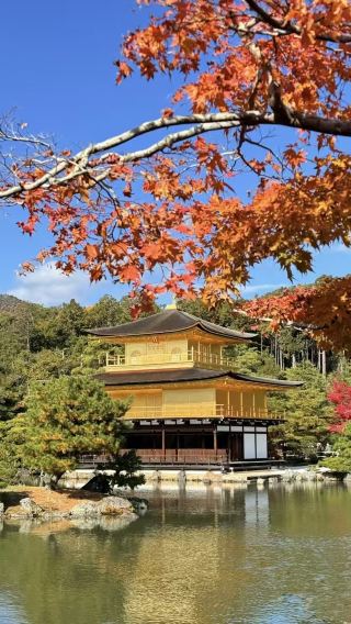 4D3N • Osaka - Kyoto - Arashiyama - Amanohashidate - Ine.