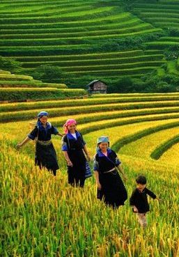 3D2N • From Hanoi: 2-Day Fansipan Peak and Trek to Village with Train