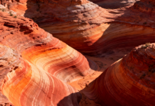 8-day 7-night · Group Tours · Xi'an + Yan'an + Mount Hua · (Group for International Travelers) No shopping, includes guide, free transfer, 8-person small group, international 5-diamond hotels. Show around Xi'an with an 8-person luxury package tour, visiting Terracotta Army, Grand Tang Mall. Discover the secrets of the great canyon and magnificent waterfalls. Additional activities include one-day free tour of Mount Hua and traditional local food.