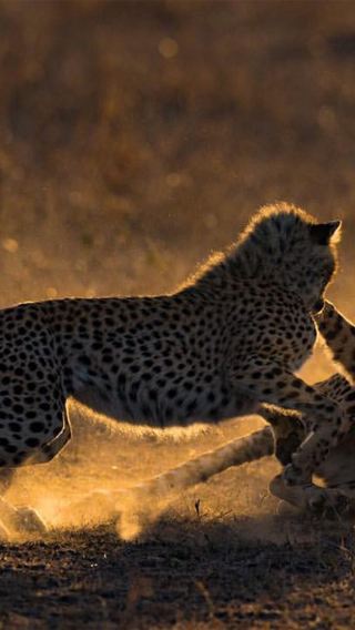 5D4N • Private group tour for 2 people: Maasai Mara National Reserve, Lake Naivasha, and Lake Nakuru, Kenya