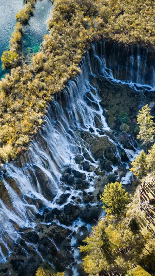 9D8N • Research Base of Giant Panda Breeding + Jiuzhaigou + Huanglong + Sanxingdui Museum + Mount Emei + Leshan Giant Buddha + 5-star accommodations