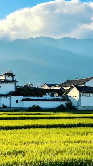 7D6N • Yunnan + Tengchong + Mangshi + Heshunguzhen + Menghuandajinta