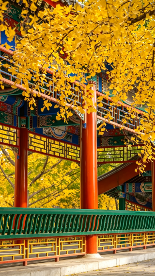 2D1N • Private. Full Moon over Beijing ·Summer Palace & Mutianyu Great Wall