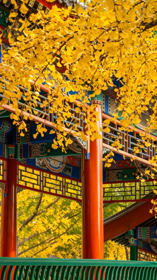 2D1N • Autumn Stroll in Beijing ·12·Person Small Group · Taste Authentic Beijing style Cuisine · Stay at the 5 Star Xiamen Airlines Carnival Hotel along the 2nd Ring Road