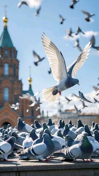 2D1N • Harbin + Xuexiang National Forest Park – 20-person Tour Group & Snow Town 3-star Hotel