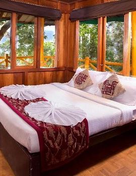 3D2N • Treehouse stay in munnar