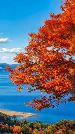 5天4晚 • 京都紅葉絕景 2晚京都 不走回頭路 日本大阪＋京都貴船神社＋伊根舟屋＋琵琶湖＋天橋立「搭纜車賞日本三景」