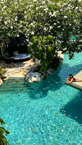 5D4N • 2-night stay at Ayana Resort, explore Tegallalang Rice Terrace, Alas Harum Bali, Ubud & Nusa Penida iconic spots, private car & customizable itinerary