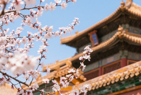 3日2晚 · 獨立包團 · 北京市區精華景點·  故宮，頤和園，天壇公園，景山公園 深度暢遊皇城