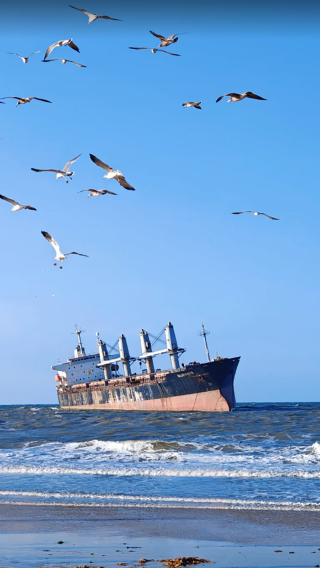 5D4N • Qingdao + Weihai + Yantai, free one double-decker yacht cruise