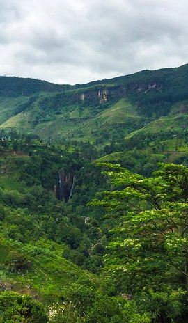 3D2N • 3 Days Tour to Kandy Nuwara Eliya & Sigiriya from Colombo