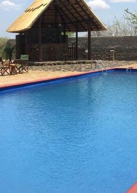 2D1N • Mikumi National Park 2 Days/ 1 Night