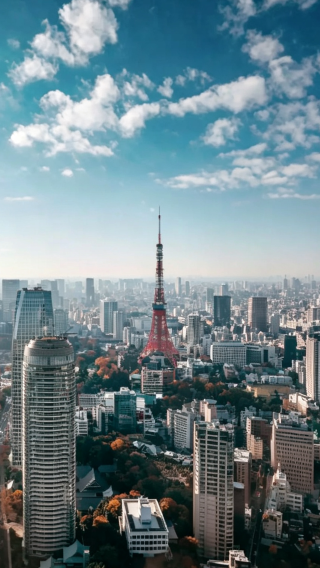 2D1N • 10-Hour Daily Private Car Charter: Tokyo + Mt. Fuji + Hakone + Izu ,10-hour daily private car charter + excluding admission fees and accommodation