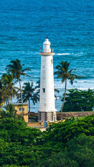 6D5N • The entire trip includes 4-star hotels, whale watching in Mirissa, two consecutive nights on the beachfront, a safari in Minneriya, Galle Fort, the UNESCO World Heritage Site of Sigiriya, and a coastal train ride
