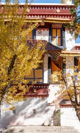 13D12N • 'Chengdu to Nyingchi Direct Flight + Qinghai-Tibet Railway Return' Lhasa + Nyingchi + EBC. + Ranwu Lake + Lulang Forest + Potala Palace + Namtso Lake