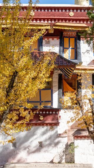 13D12N • 'Chengdu to Nyingchi Direct Flight + Qinghai-Tibet Railway Return' Lhasa + Nyingchi + EBC. + Ranwu Lake + Lulang Forest + Potala Palace + Namtso Lake