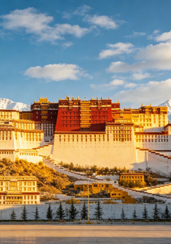 6D5N • Lhasa + Nyingchi + Potala Palace + Yamdrok Yumtso + Basomtso