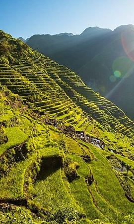 3D2N • Banaue & Batad UNESCO 3days 2 nights Tour ( Private Group Tour Max 6 Travelers)